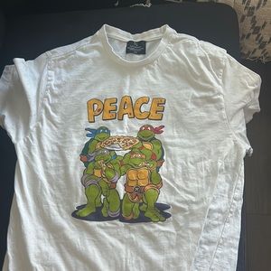 Teenage mutant ninja turtles